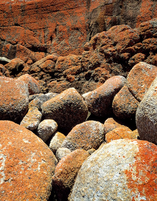 Lichen, boulders, Croajingalong, Australia